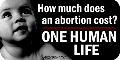How Much Does An Abortion Cost? One Human Life 1x2 Env Sticker