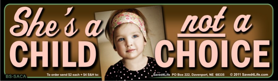 She's a Child Not a Choice 3.5x12 Bumper Sticker - Click Image to Close