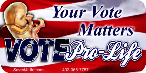 Your Vote Matters (Fetus) 3.5 x 12 Bumper Sticker - Click Image to Close