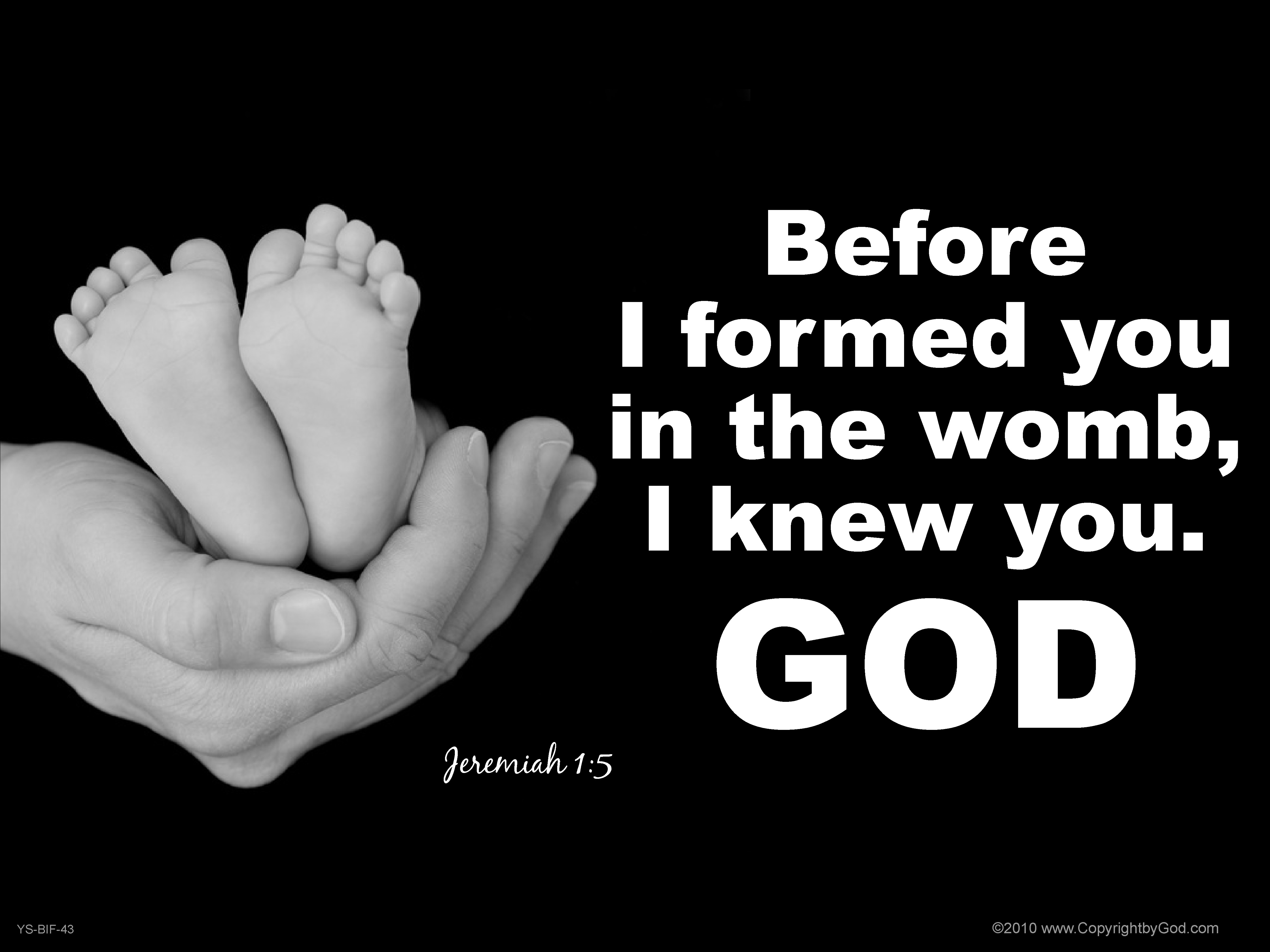 Before I Formed You in the Womb (Feet) 36x54 Vinyl Poster